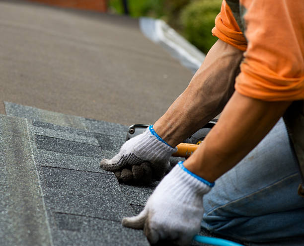 Best Roof Gutter Cleaning  in Madison Park, NJ